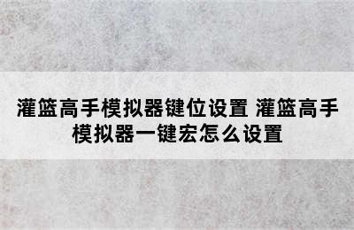 灌篮高手模拟器键位设置 灌篮高手模拟器一键宏怎么设置